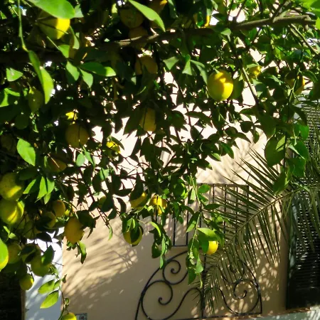 Kalehan Hotell Selçuk