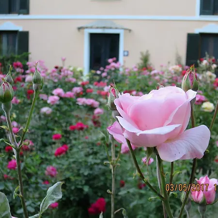 Kalehan Hotell Selçuk