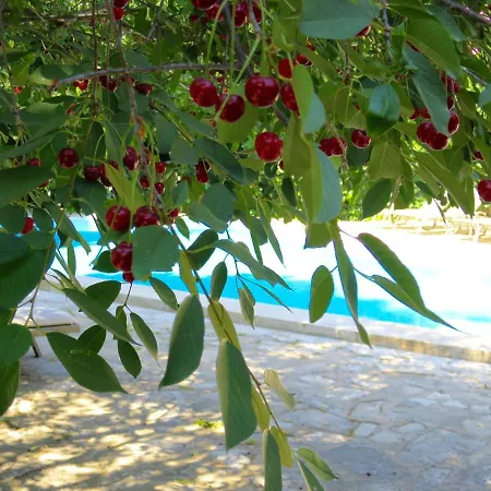 酒店 卡乐涵酒店