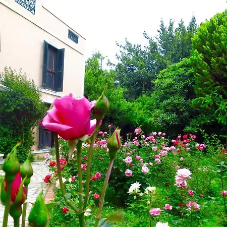 卡乐涵酒店 2* 塞尔丘克