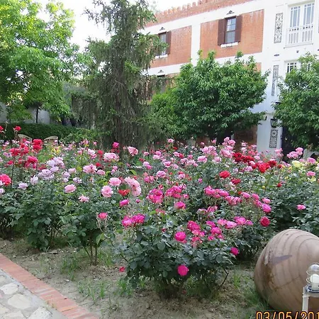 卡乐涵酒店 2* 塞尔丘克